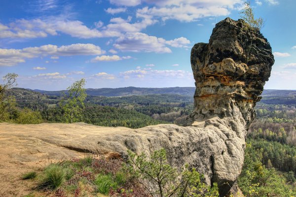 Top 4 des formations pour réussir en investissement immobilier