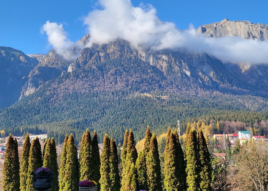 a scenic view of a mountain range with trees in the foreground